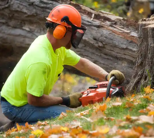 tree services Stephenson